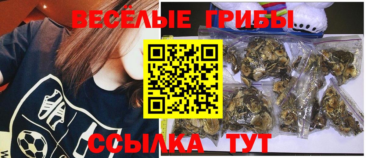 Прохладный  Галлюциногенные грибы Psilocybine cubensis  Вход с VPN 