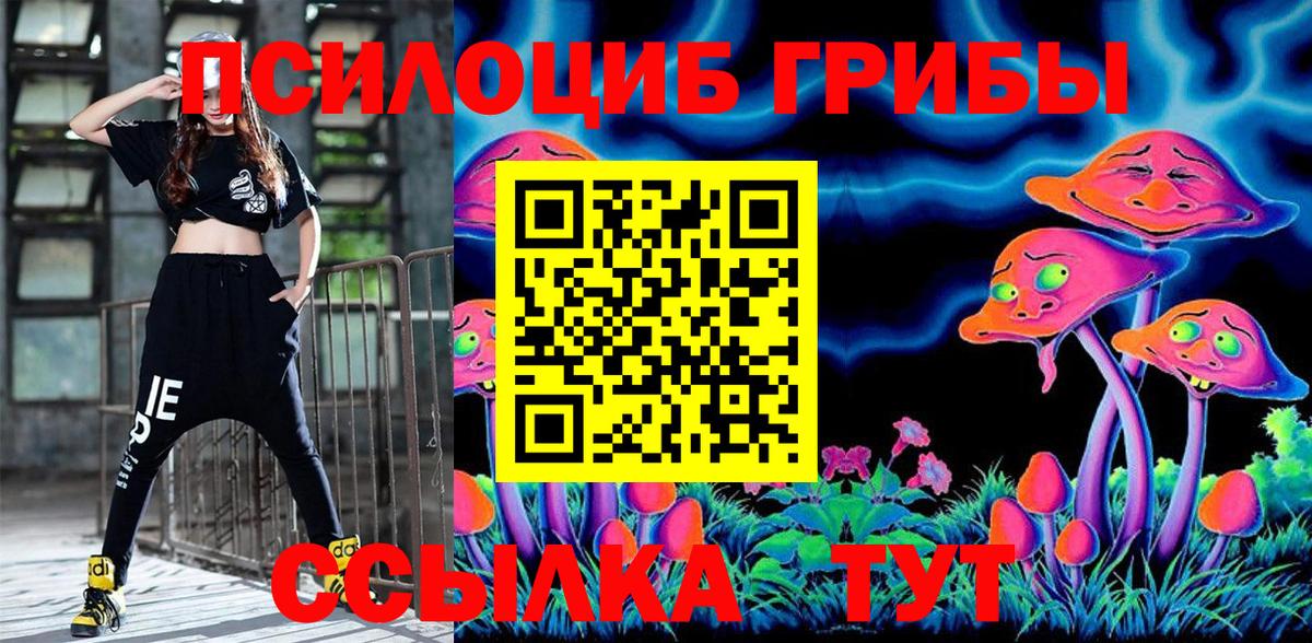 Галлюциногенные грибы Cubensis Прохладный